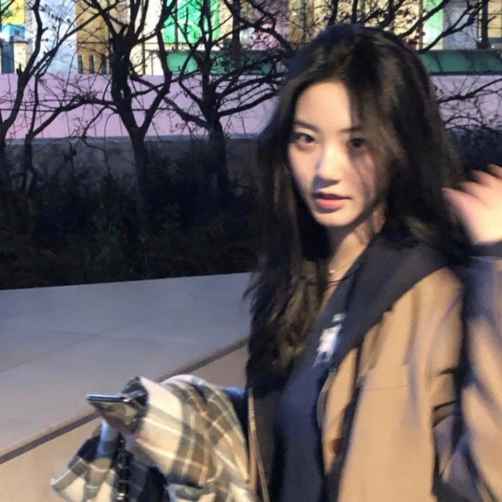 路易的第九条命